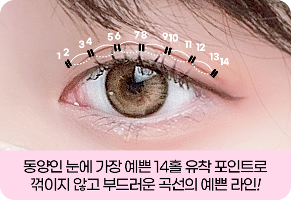 디에이 화려한 세미아웃