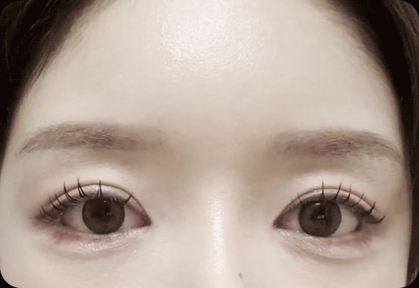 디에이 화려한 세미아웃