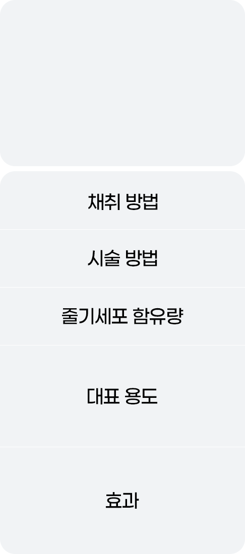 디에이 줄기세포