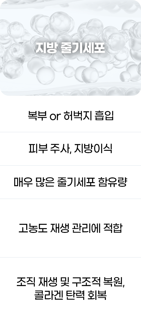 디에이 줄기세포