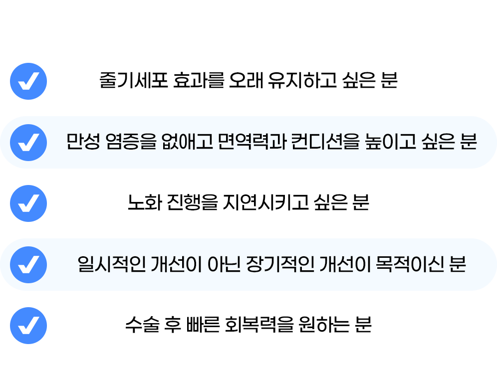 이미지 제목