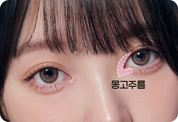 디에이 몽고트임