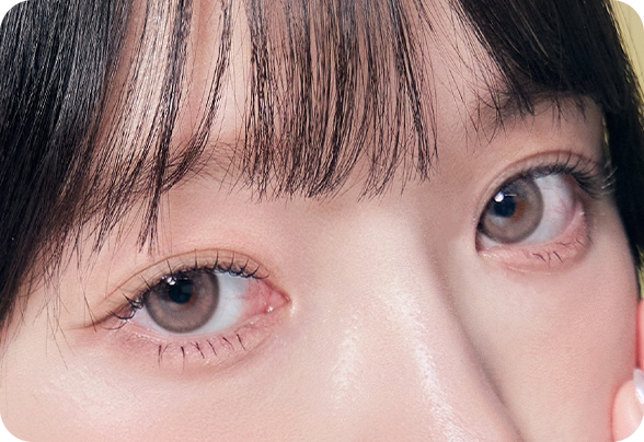 디에이 몽고트임